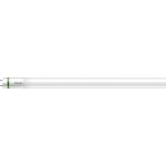 Philips MASTER LED Tube T8 (EM/Mains) Ultra Efficiency 11.9W 2500lm - 865 Daglicht | 120cm - Vervangt 36W