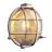 Nordlux Polperro Wandlamp Glas Satijn Nikkel | 195mm - IP64 - Geschikt voor E27