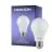 Noxion Lucent Classic LED E27 Peer Mat 8.5W 806lm - 830 Warm Wit | Vervangt 60W