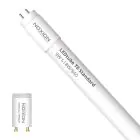 Noxion LED Buis T8 Avant (EM/Mains) Standard Output 7.5W 900lm - 840 Koel Wit | 60cm - Vervangt 18W